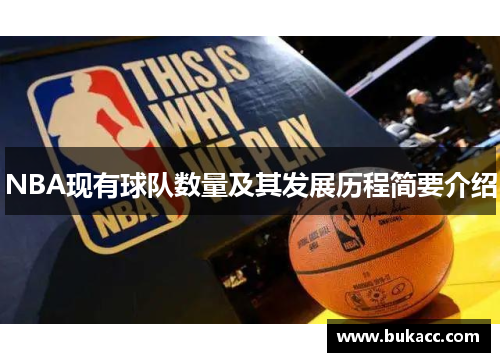 NBA现有球队数量及其发展历程简要介绍